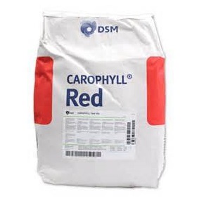 DSM carophyll red 10% κόκκινη χρωστική καροφύλλης