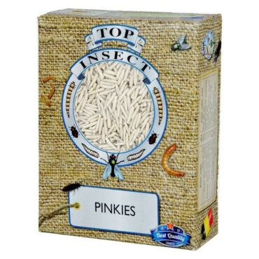 top insect pinkies animal-foods.gr