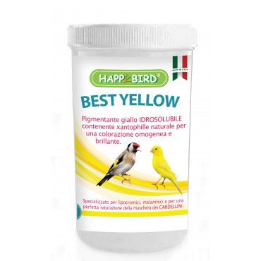 best_yellow_100g
